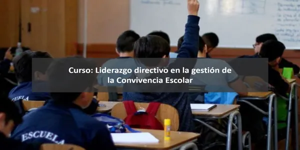 Curso: Liderazgo directivo en la gestión de la Convivencia Escolar